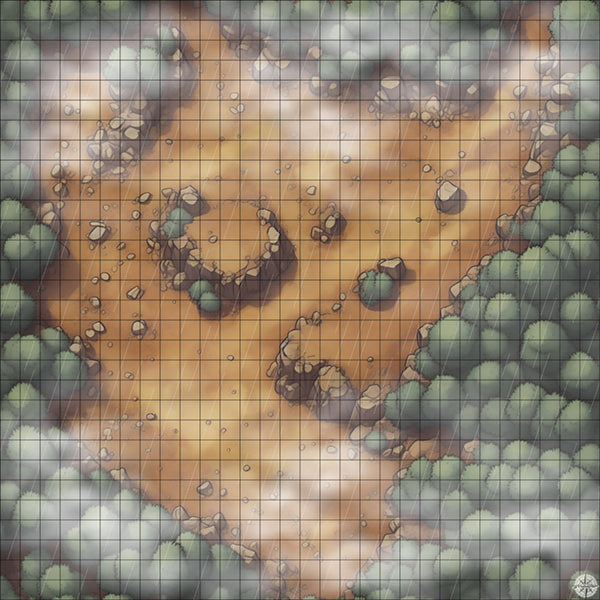 Forest Rocky Clearing map with rain and mist