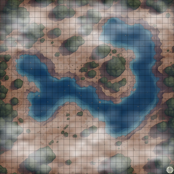Forest Oxbow Lake map night time with mist