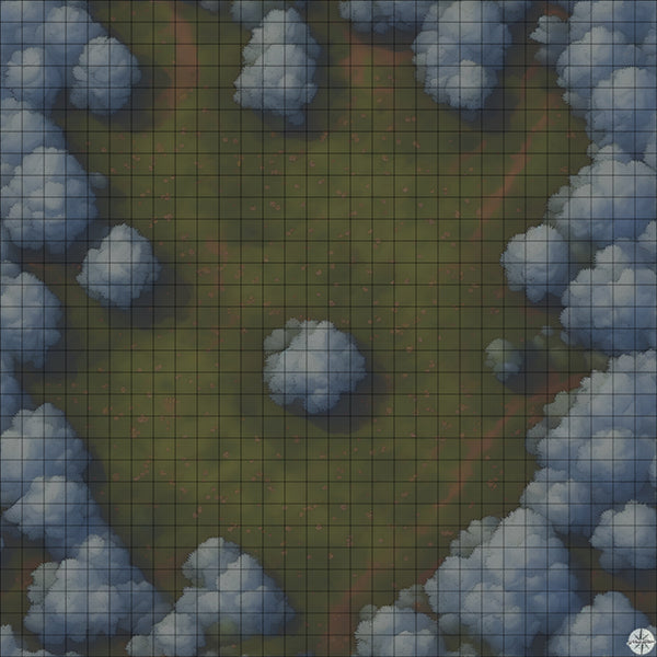Forest Clearing with White Trees map night time