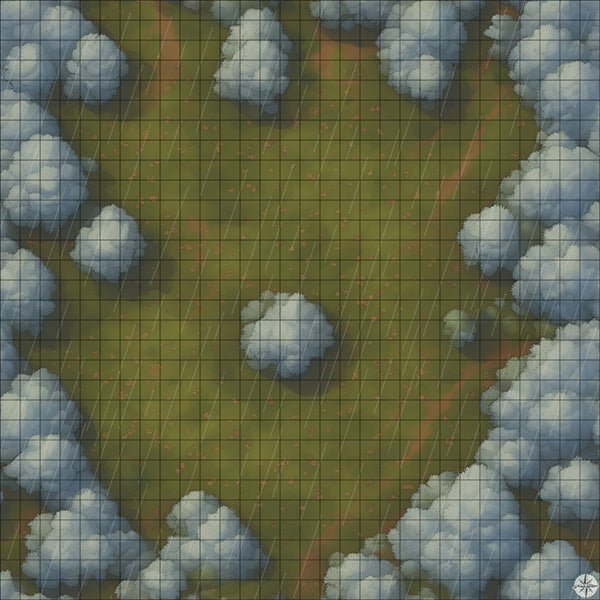 Forest Clearing with White Trees map with rain