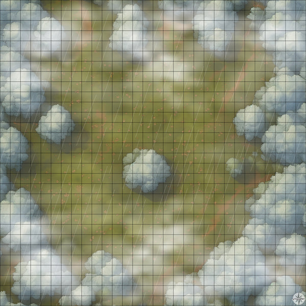 Forest Clearing with White Trees map with mist and rain
