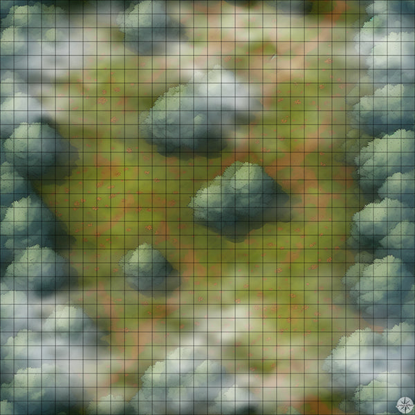 Grassy Tree-Lined Clearing map with mist