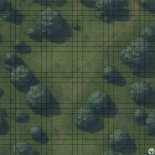 Grassy Hillside Clearing map night time