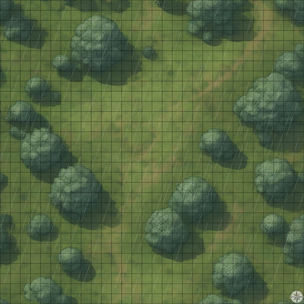 Grassy Hillside Clearing map with rain