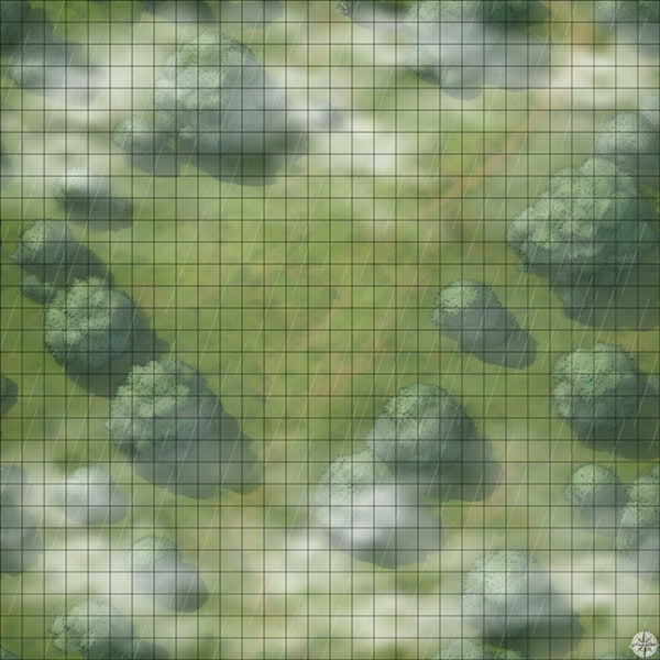 Grassy Hillside Clearing map with mist and rain