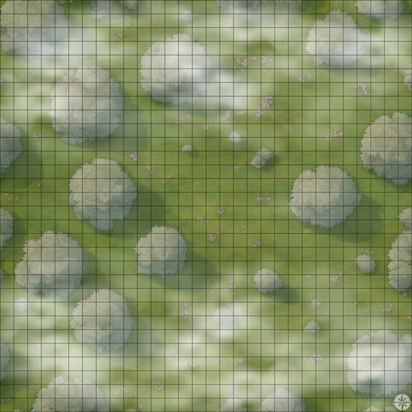 tree filled meadow battle map with Mist