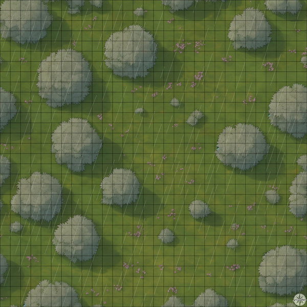 tree filled meadow battle map with Rain