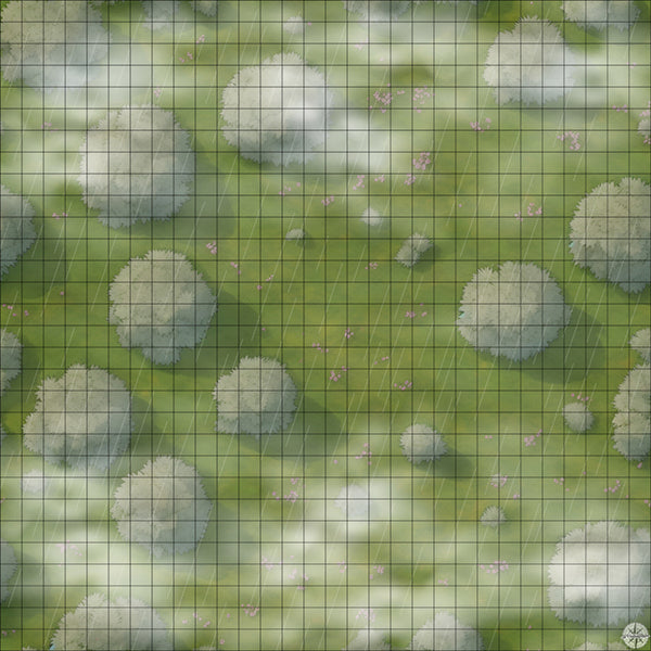 tree filled meadow battle map with Mist and Rain