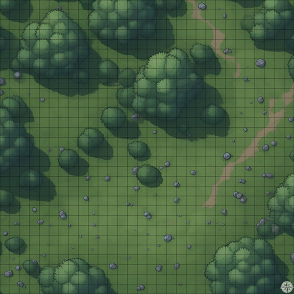 rocky forest clearing battle map at Night time