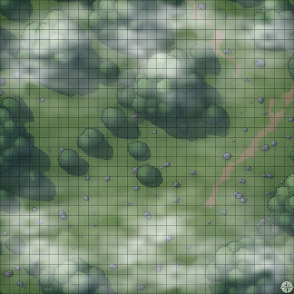 rocky forest clearing battle map Night time with Mist
