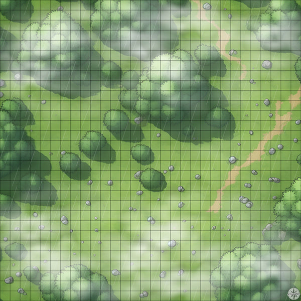 rocky forest clearing battle map with Mist and Rain