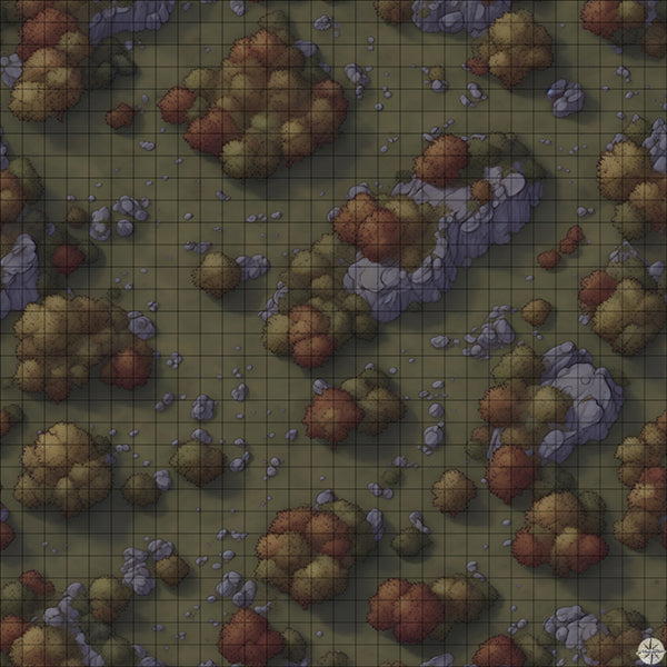rocky autumn forest battle map at Night time