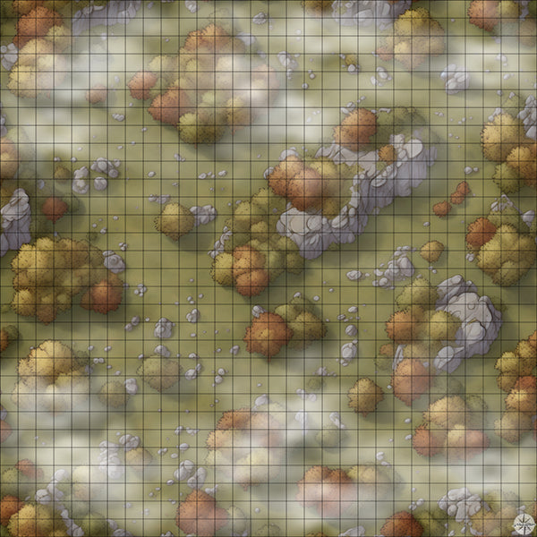 rocky autumn forest battle map with Mist