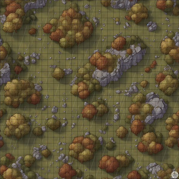 rocky autumn forest battle map with Rain