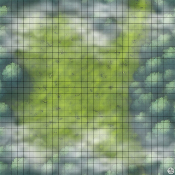 secluded forest clearing battle map with Mist