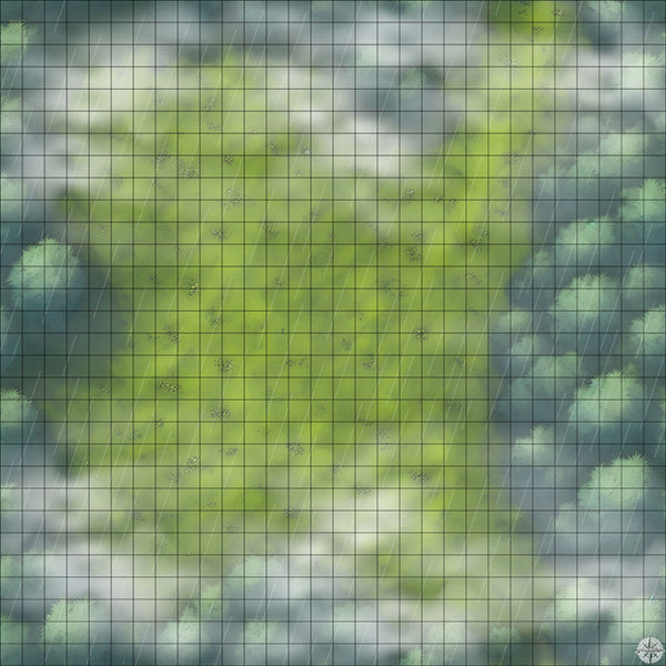 secluded forest clearing battle map with Mist and Rain