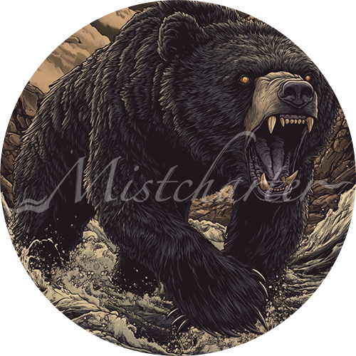 Black Bear