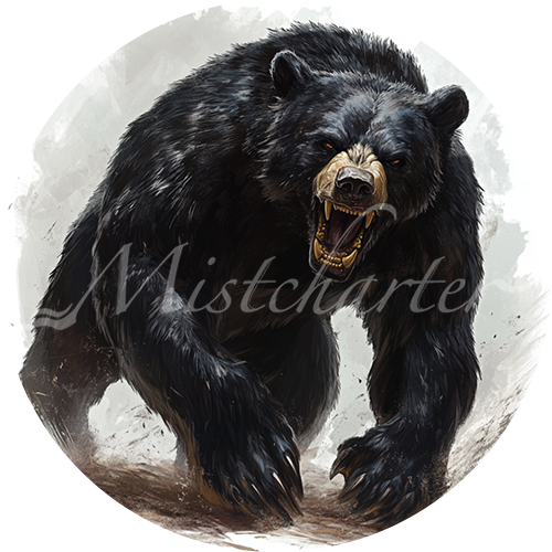 Black Bear