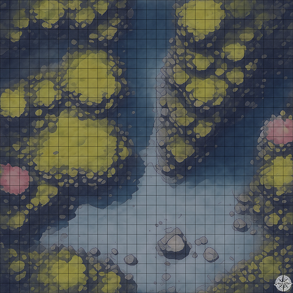 Underwater Coral Cliffs with Rocks