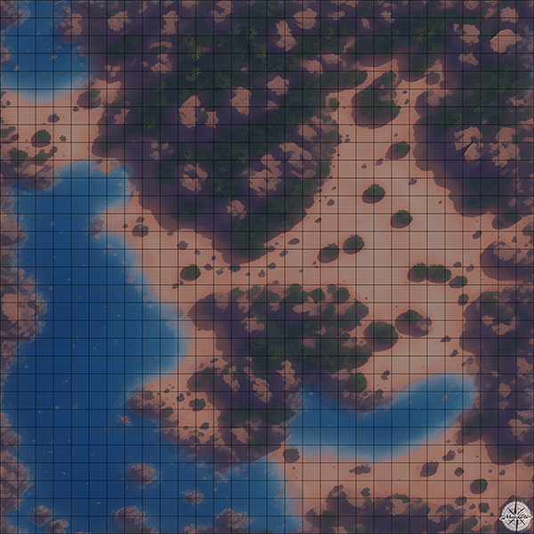 rock beach cove with palm trees D&D map with Night