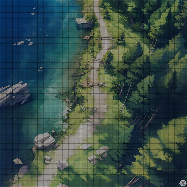 Hiking Trail Around Forest Lake Battlemap Night