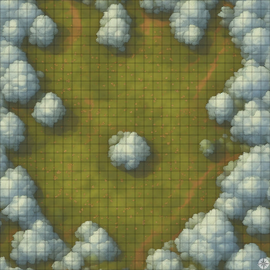 Forest Clearing with White Trees map battle map