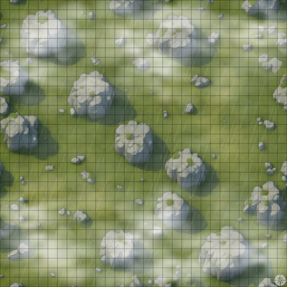 Grassy Field with Rocks map with mist and rain