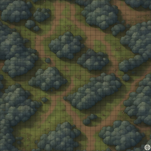 grassy winding forest battle map at Night time