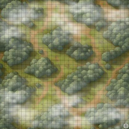 grassy winding forest battle map with Mist