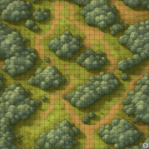 grassy winding forest battle map