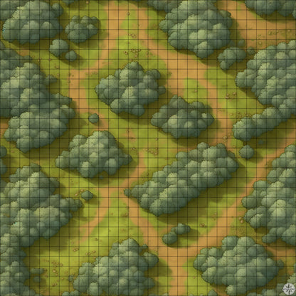 grassy winding forest battle map