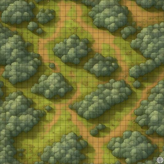 grassy winding forest battle map