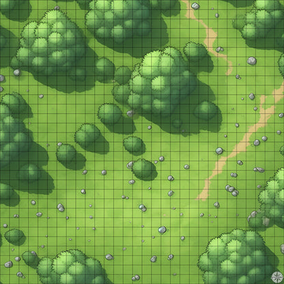 rocky forest clearing battle map