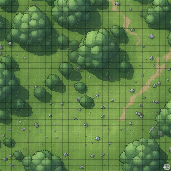 rocky forest clearing battle map with Rain