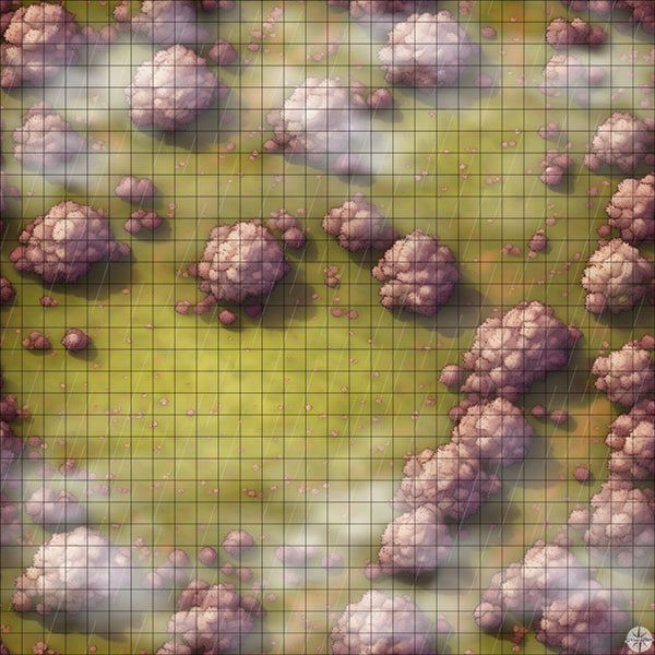 copy of landscape product template 1 battle map with Mist and Rain