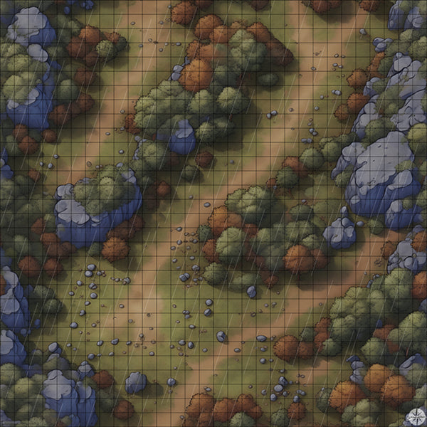 Autumn Forest Hillside with Cliffs with rain
