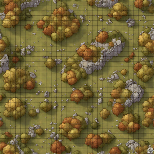 rocky autumn forest battle map
