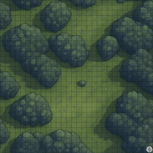 Forest Clearing with Small Stones map night time