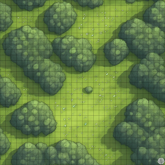 Forest Clearing with Small Stones battle map