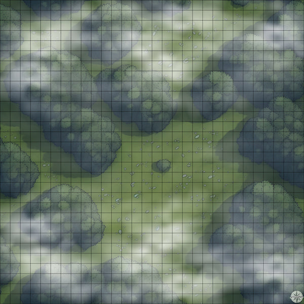 Forest Clearing with Small Stones map night time with mist