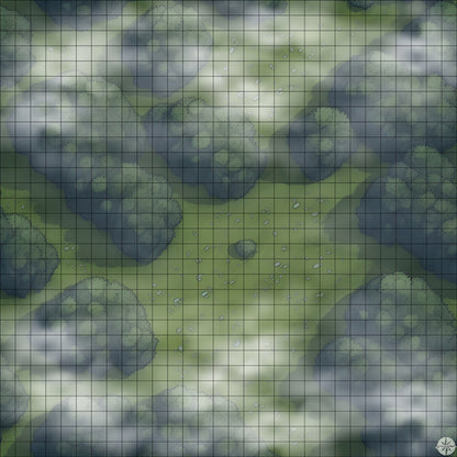Forest Clearing with Small Stones map night time with mist