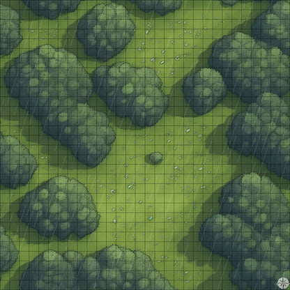 Forest Clearing with Small Stones map with rain