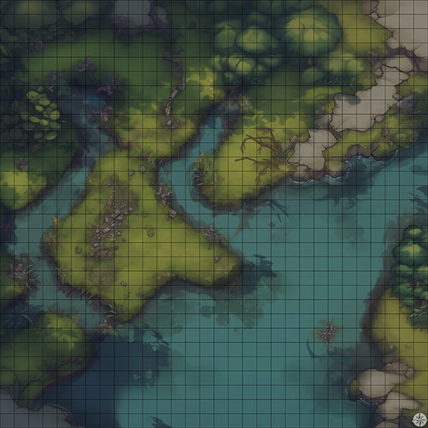 Swamp Battlemap Night