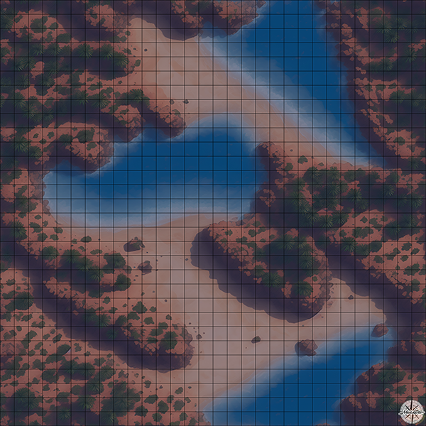 stranded beach with palm trees D&D map with Night